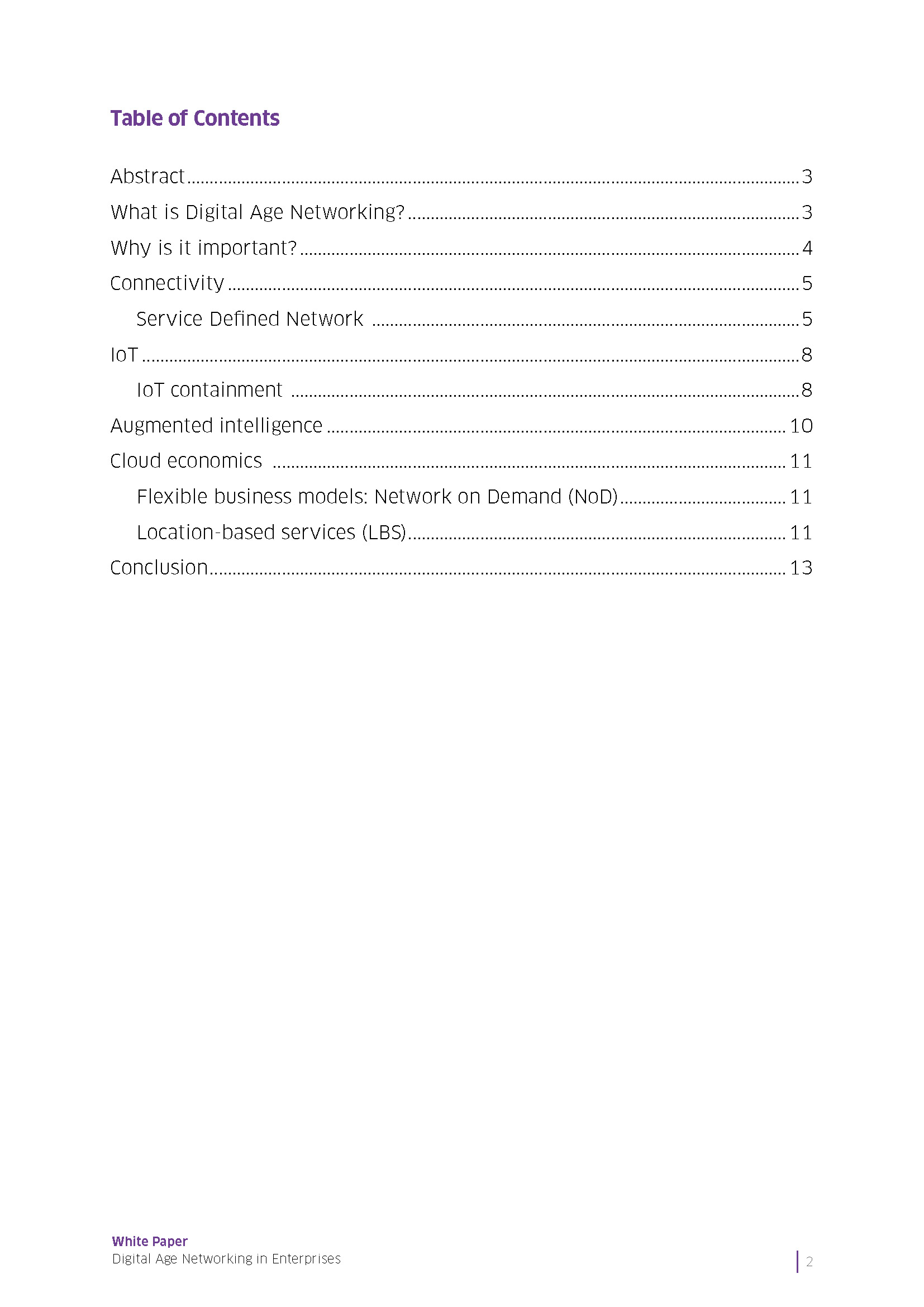 digital-age-networking-enterprises_Page_02